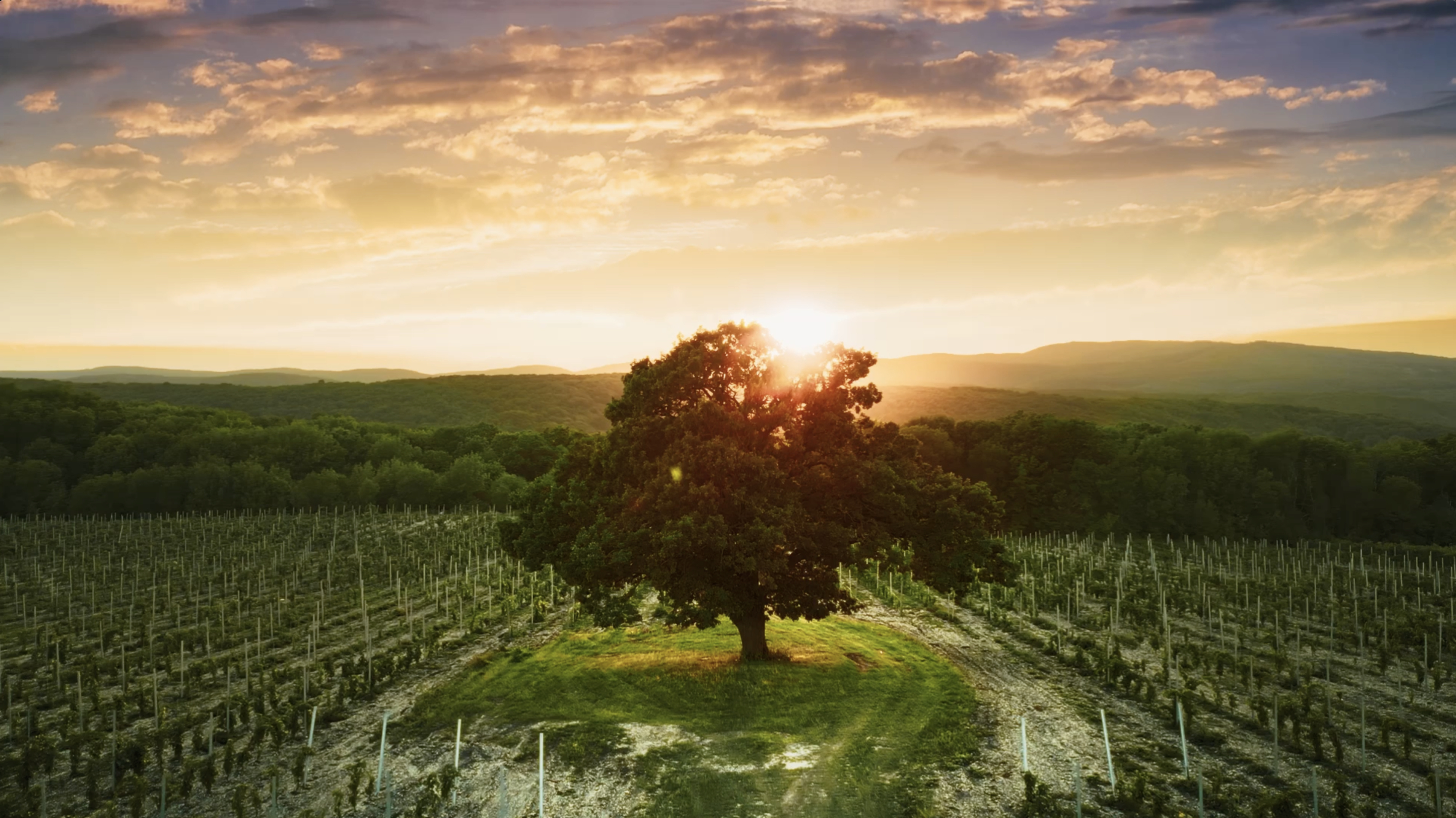 CHATEAU LE GRAND VOSTOCK